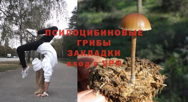скорость Зеленодольск