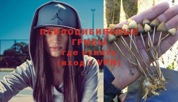 молекула духа Зеленокумск