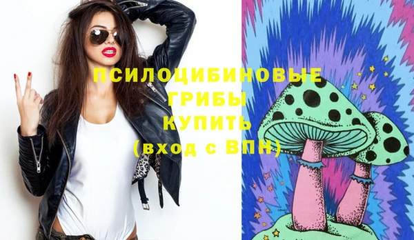 эйфоретик Зерноград
