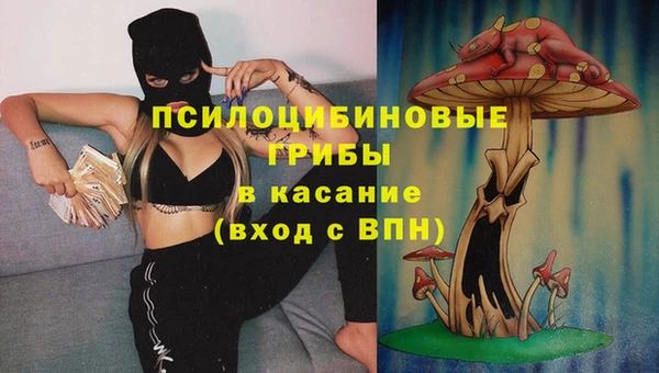 эйфоретик Зерноград