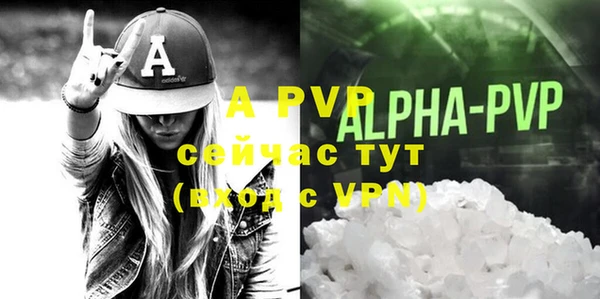 эйфоретик Зерноград